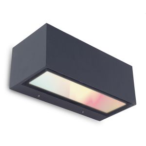 Gemini RGB Outdoor LED Wall Light
