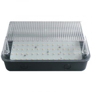 8W LED Bulkhead With Black Base And Clear Diffuser